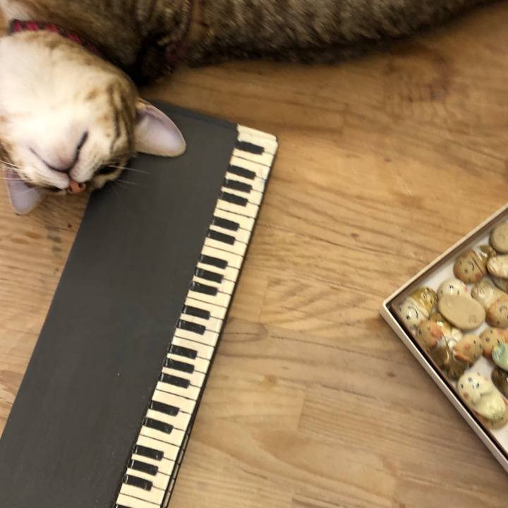 986b8c79 8bab 4a92 8f3b 5c904a7e5ac7 1585990609908