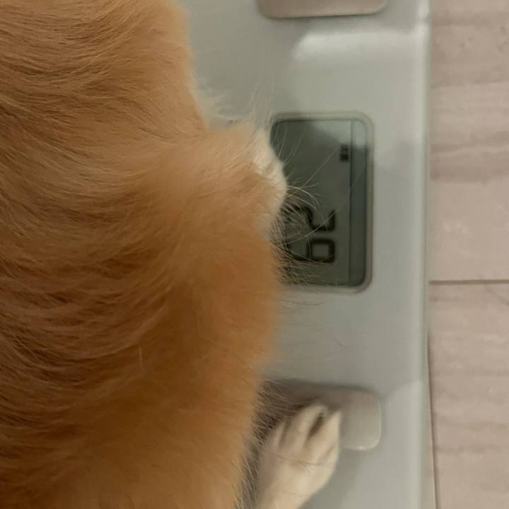 986bd360 02a6 4d59 a7f5 b9812a1531a2 1753751699541