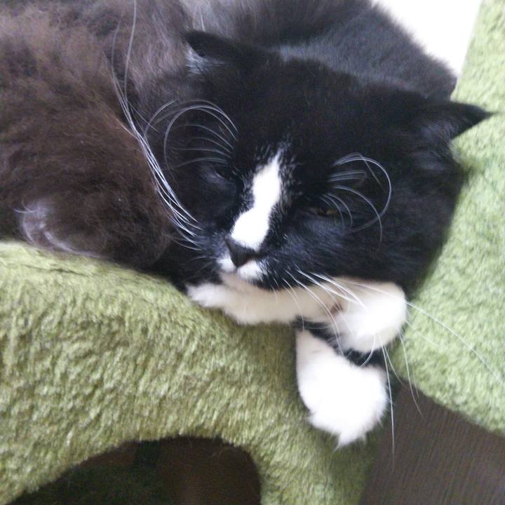 986c4e8a 5868 4ca2 826d d88169ffa72f 1662282138133