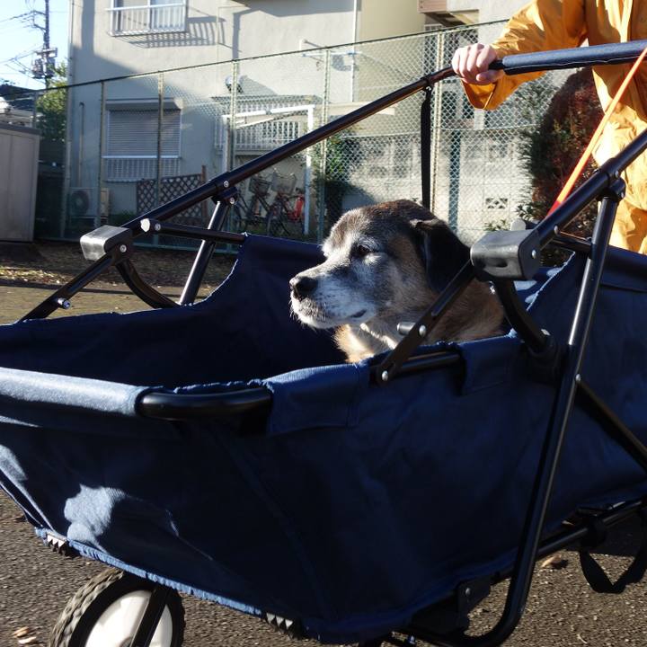 986c7577 a65e 4f40 8e33 59bdf63e72fd 1575352845566