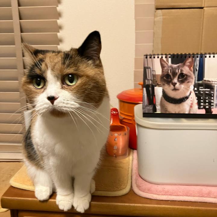 986c9113 b73a 4625 b9b9 7ee8531b47cb 1764071498718