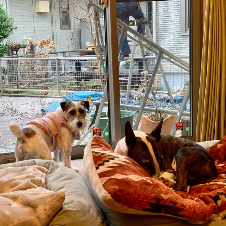 986cb3e8 6fe7 48a8 920b 341ca6ae1cdd 1610678744654