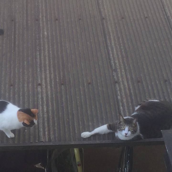 986cd201 cefa 4e6a 963b 12bc1d6b7f86 1558270655663