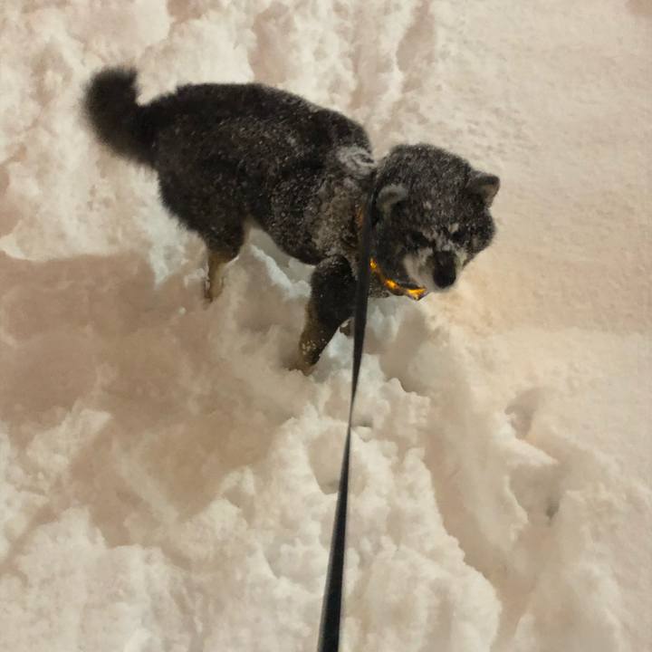 986cd72d 87d4 4824 8d0b 41e94cbae82e 1610075948268