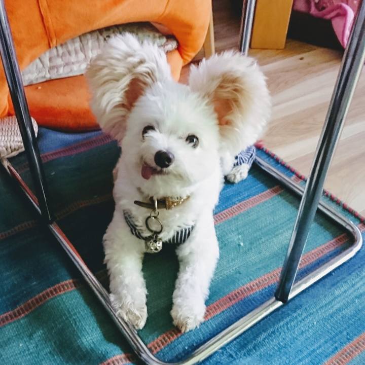 986cda40 22ef 4231 a662 9aca8beb0fc2 1570507966364