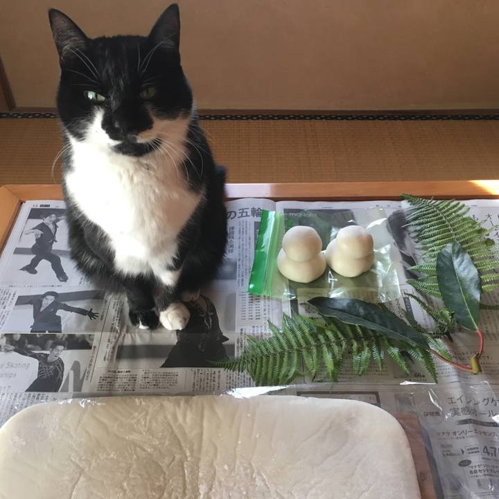 986d0150 d1fb 49ae b8ab 71e24d4390bf 1514522214856