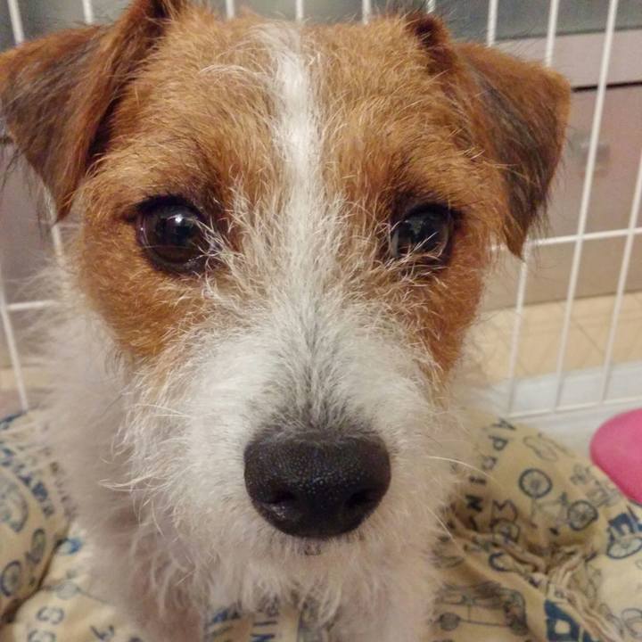 986d0a88 b1dc 4989 8199 803b11d16f6b 1536573751483