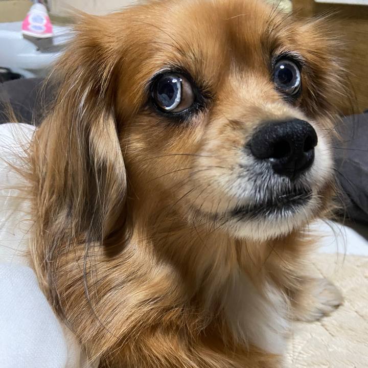 986d332f 813c 440d a3dd d481f759737a 1668463357709