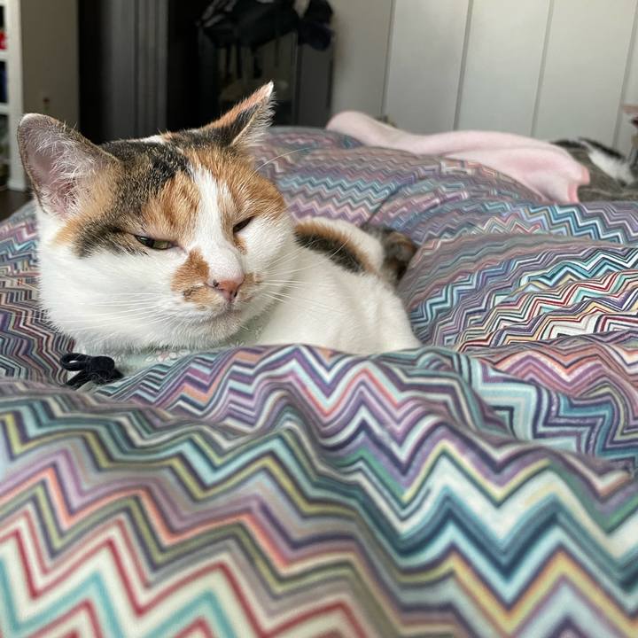 986d61a5 267e 42e5 8284 ea56e6137e50 1667173698091