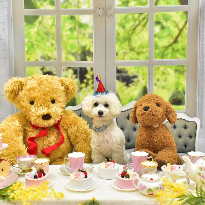 986d6bf2 35a1 4db1 b243 c8be0ca7faca 1587887432091