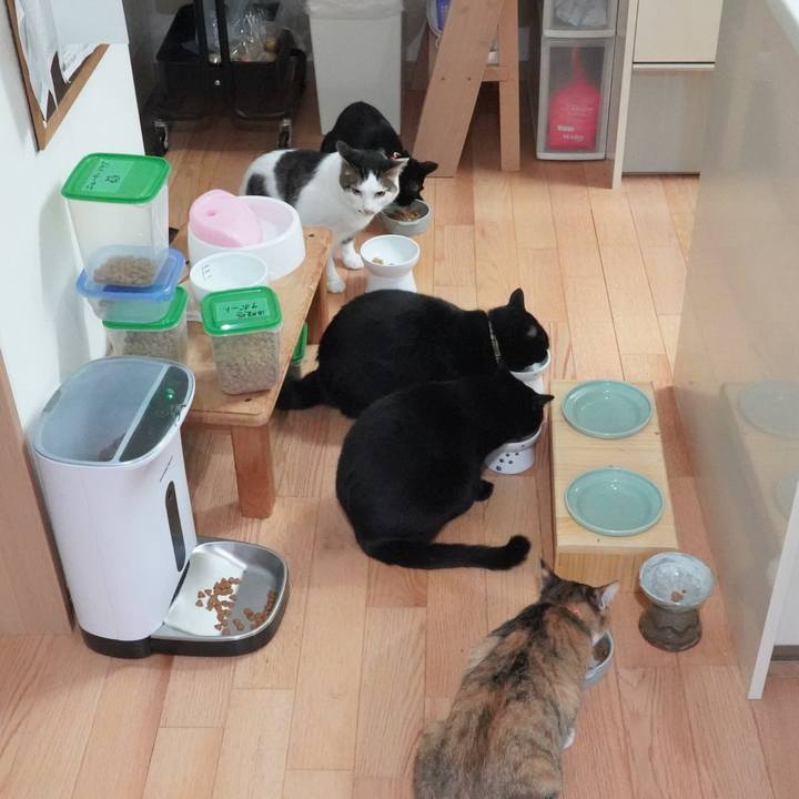 986d82f8 7576 4d07 9e95 5cee7deea32b 1592784730839