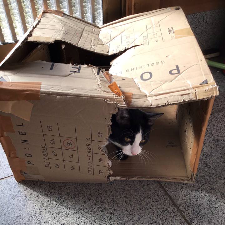 986dd543 023a 41c0 aab9 1f7491192062 1641173898968