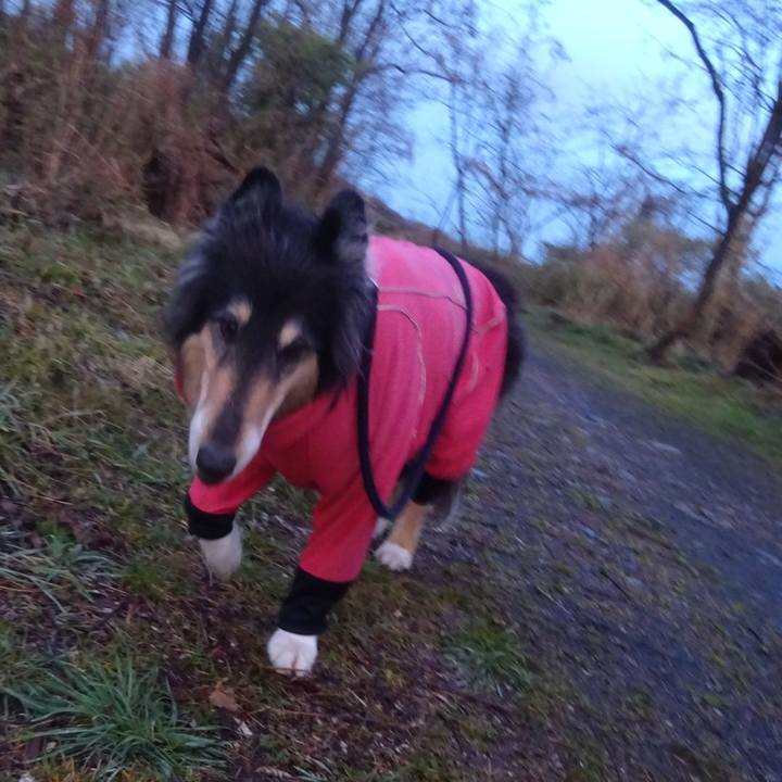 986e18ed addd 4276 80dd 17f70dd7713a 1615649472058