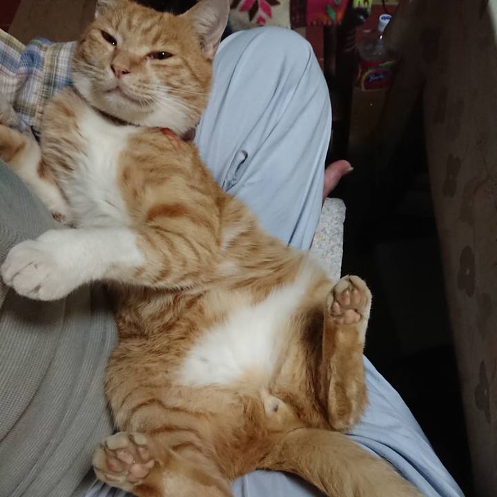 986e1e95 ed5e 46ad 8a78 cba05ba81056 1570619285973