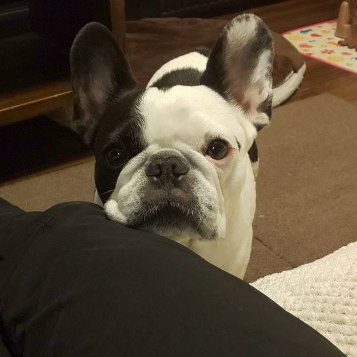 986e3c4e 2406 4c79 9789 9a173c8f9140 1583897532192