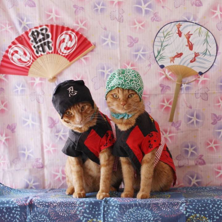 986e3ced c913 47b4 9866 3bb74d0f8b52 1753014154718