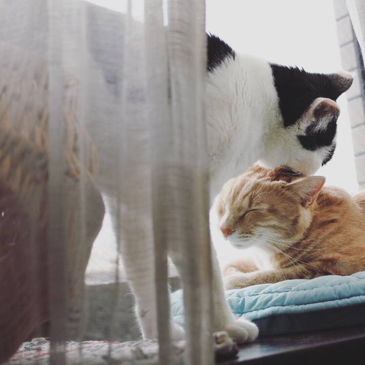 986e5351 8a79 4847 b71c eb3e59386027 1580779133965