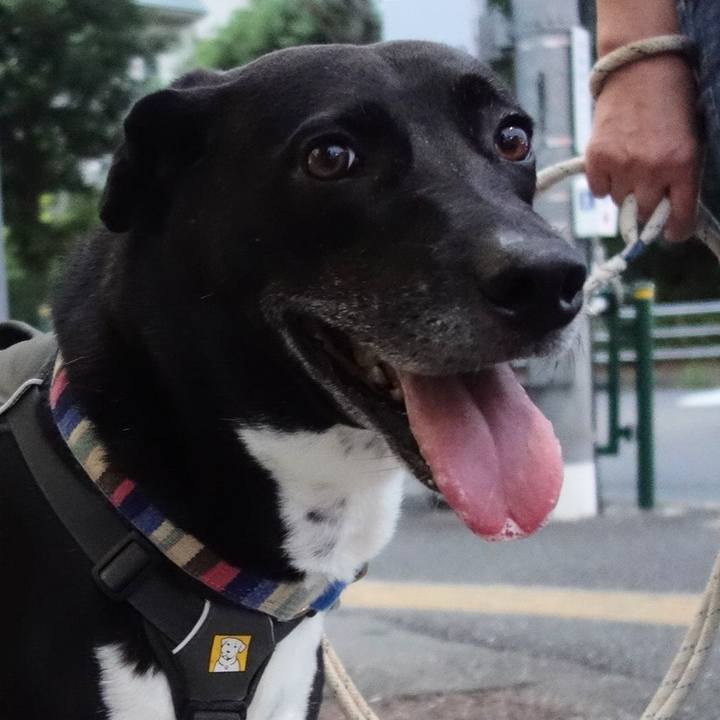 986e8515 14d1 4ff4 8b41 390d405f0e98 1659697614623