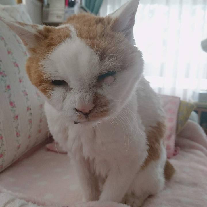 986e93c7 6e20 48ef bba3 88380bd7ac38 1690676049445