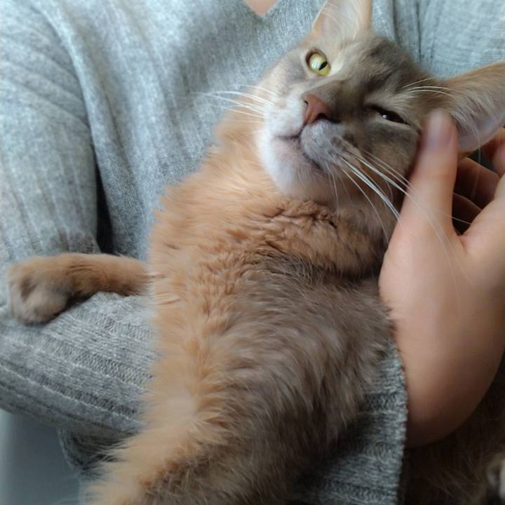 986f1e0d 1c9e 4eee a588 1da1356a00e9 1608274417941