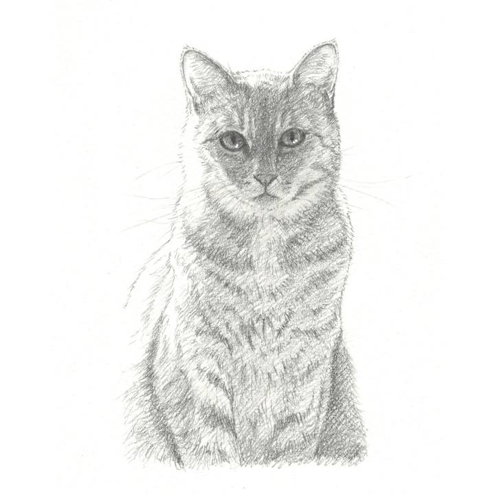 986f32c2 254c 4c25 9088 7b316eb935d8 1557238578692