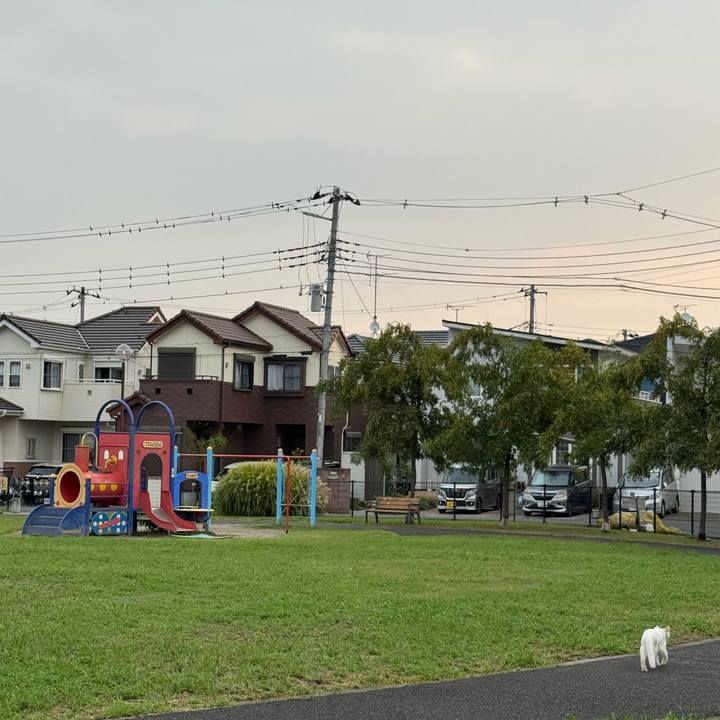 986f8445 226f 4496 b8bc 8d1c00f72b4c 1757386756185