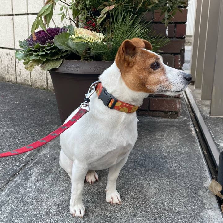 986f89dd 1c37 4b0b a409 816c9d33c475 1767355125047