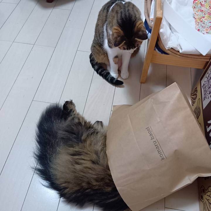 986f9356 c998 4c70 bc43 40352ff7f063 1764797542653