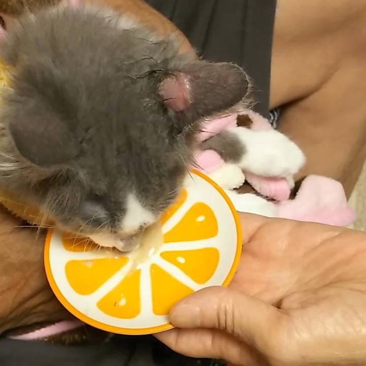 986f95dc 7945 4850 a8a1 2bed0281d5ab 1564052067926