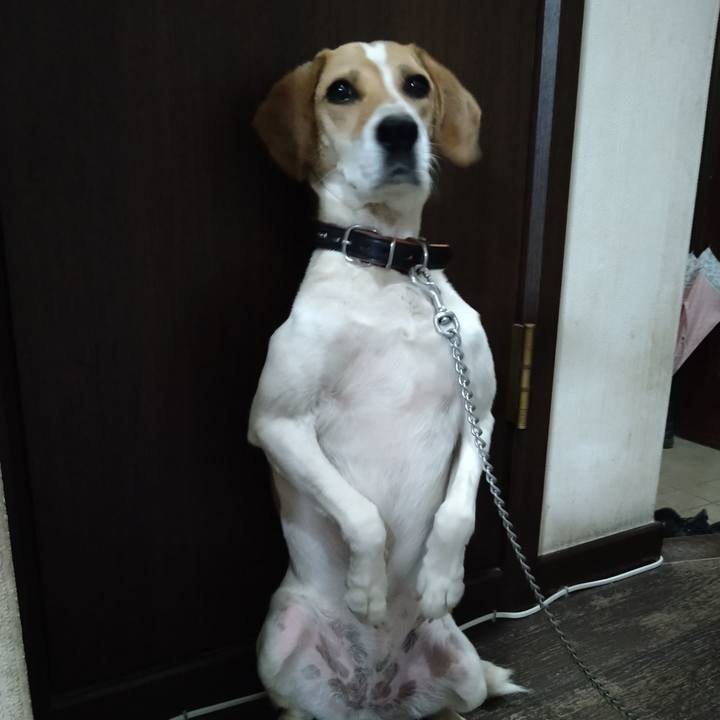 986fae74 6e00 4144 bcf1 25a373e83122 1624966451198