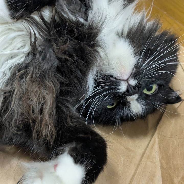 986fb493 5aa5 4492 b09b 727e17ca1b39 1750162751195