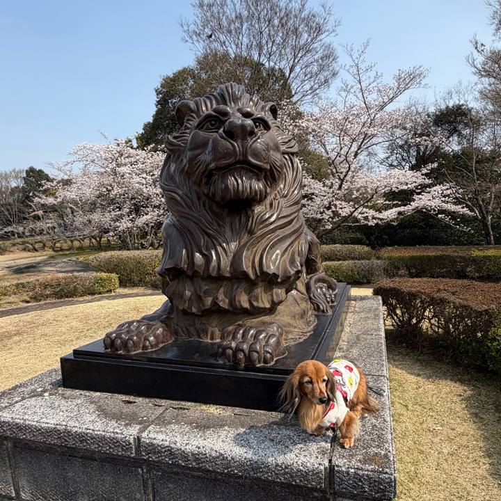 986fd581 0a85 405f b1e1 4dd35b1f935d 1774675797939