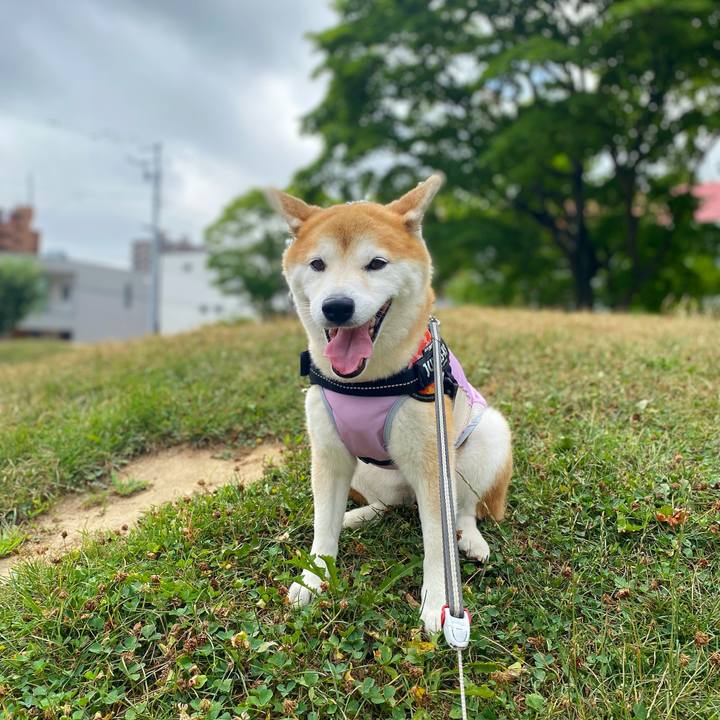 986ff03a 2871 4e74 9167 e279c60ac087 1628391104192