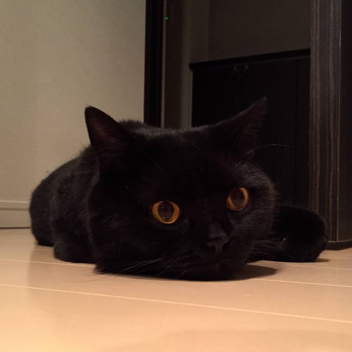 986ff0df 4ef4 4a62 b84f 68f2ff8a3d32 1593955150172