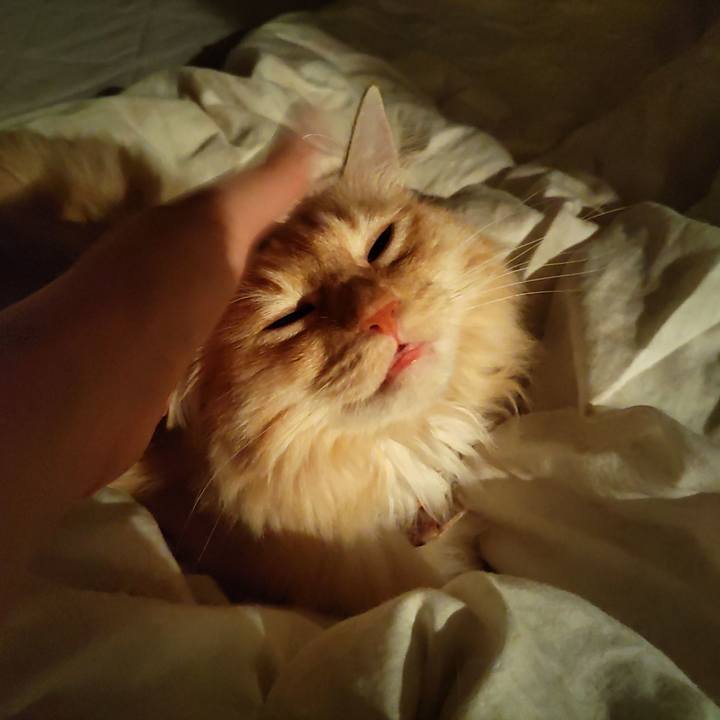 987040b5 6f06 4b5f 9fa1 5eba06bae5a8 1691763182841