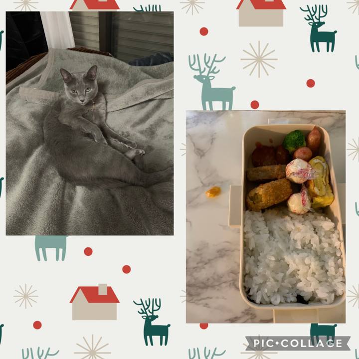 987055f7 ac72 4a80 a2cd 9cf19593d7f6 1675292923132