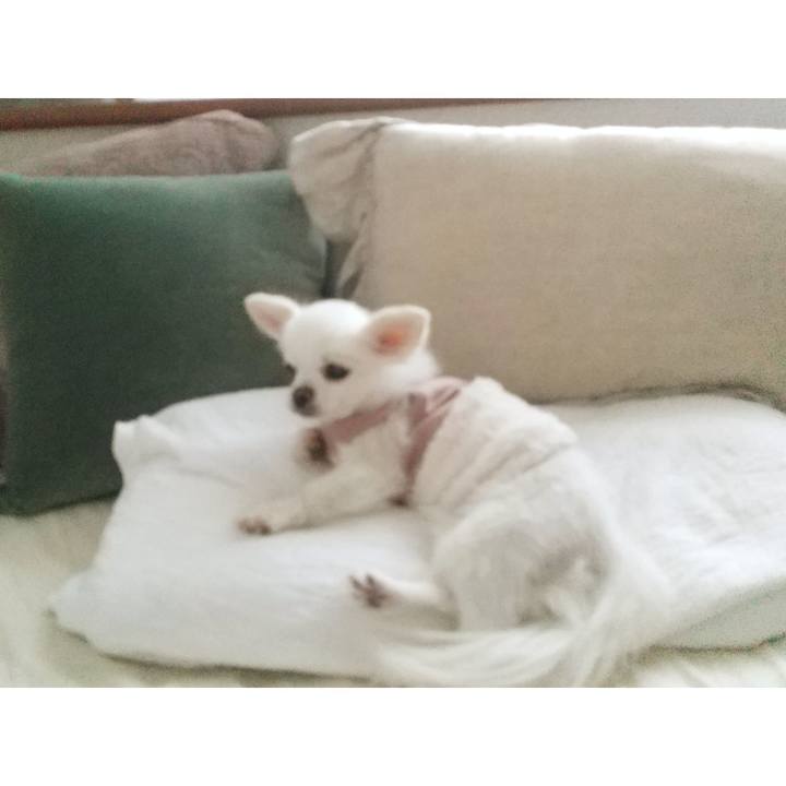 98709297 69cf 405f be4c 906ea1c81839 1627786981841