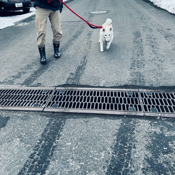 9870e017 00b5 4d36 9a31 70abf20fef18 1704413008521