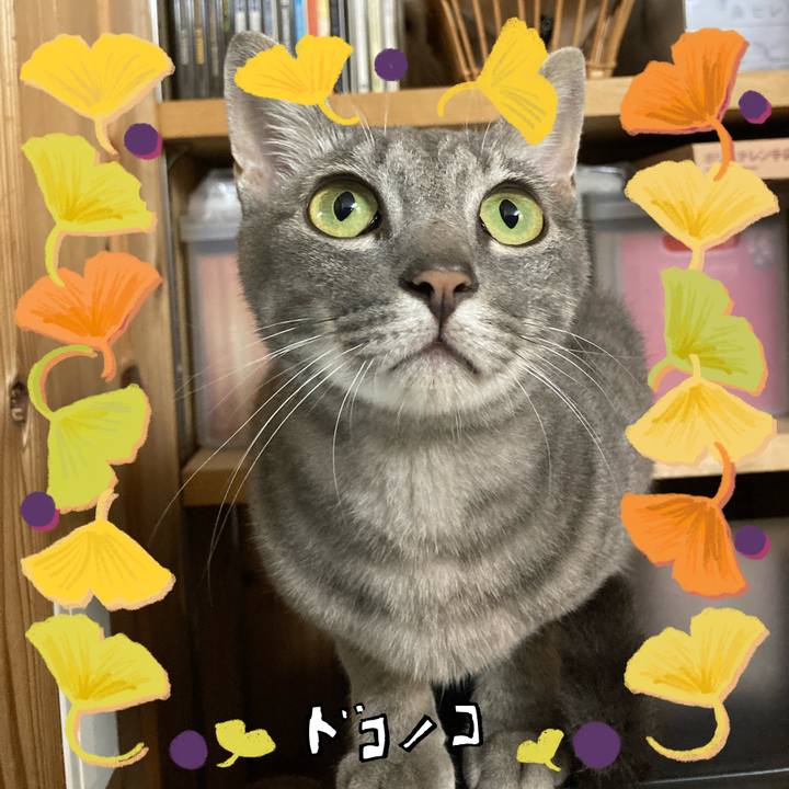 9870e4ae 5f94 48a5 a75d d674c261a3c6 1729380900245