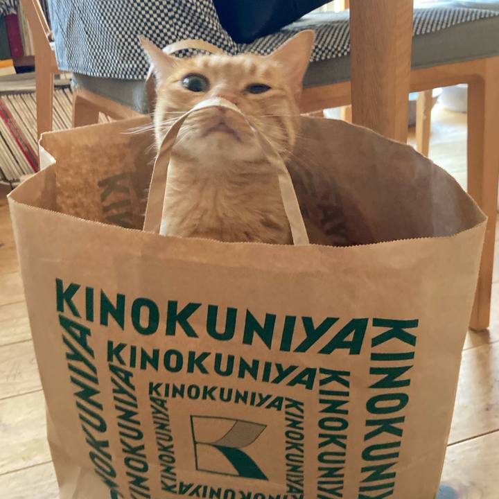 9870ee1c a8db 4d88 ad1a 7530946ab75e 1626481628282