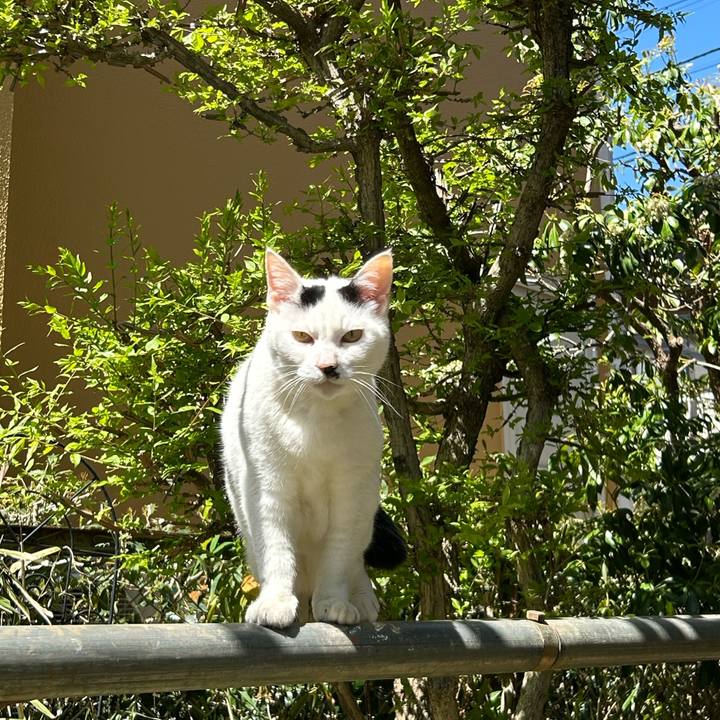 98712370 e009 4230 993c 7c348243dd07 1744257285382