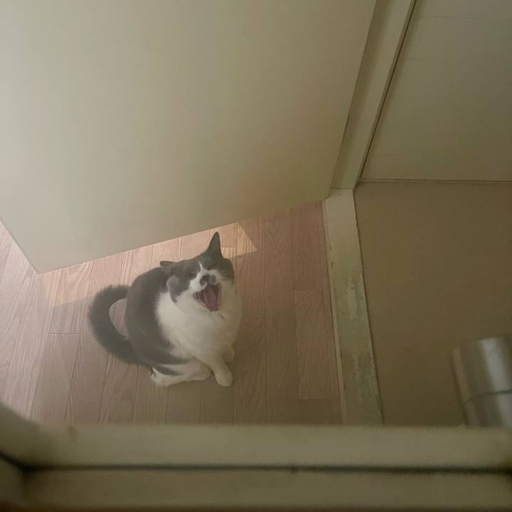 987139c9 8586 4234 93d9 28b025d6522d 1708775881937