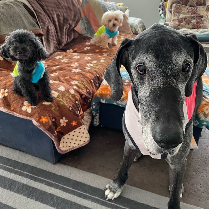 987160d9 6a6d 4896 8b5d 78363a03a28a 1647384056645