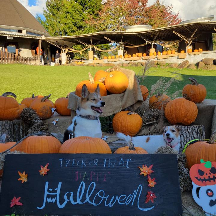 9871611e 8683 406c ae3b e62014b54cc8 1728863425749