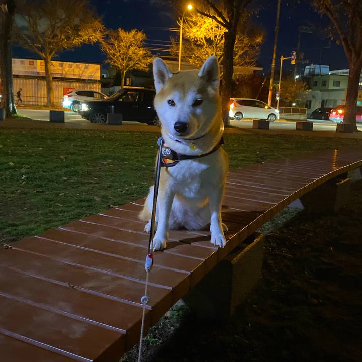 9871a79a dc06 4784 8008 94be4fde956c 1636017107370