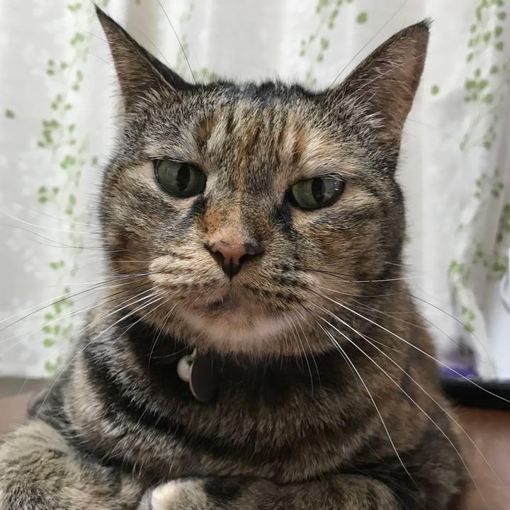 9871b0bb 5cd1 4a38 9439 b0c9ecb02c0a 1531137820169