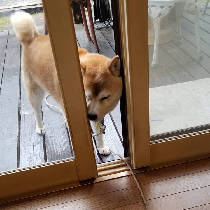 9871d474 513b 4d20 a5bc 8fff68f01dc8 1655247408309