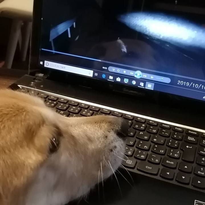 98724e50 7026 44ab 89f7 b772facd8bde 1570759623932