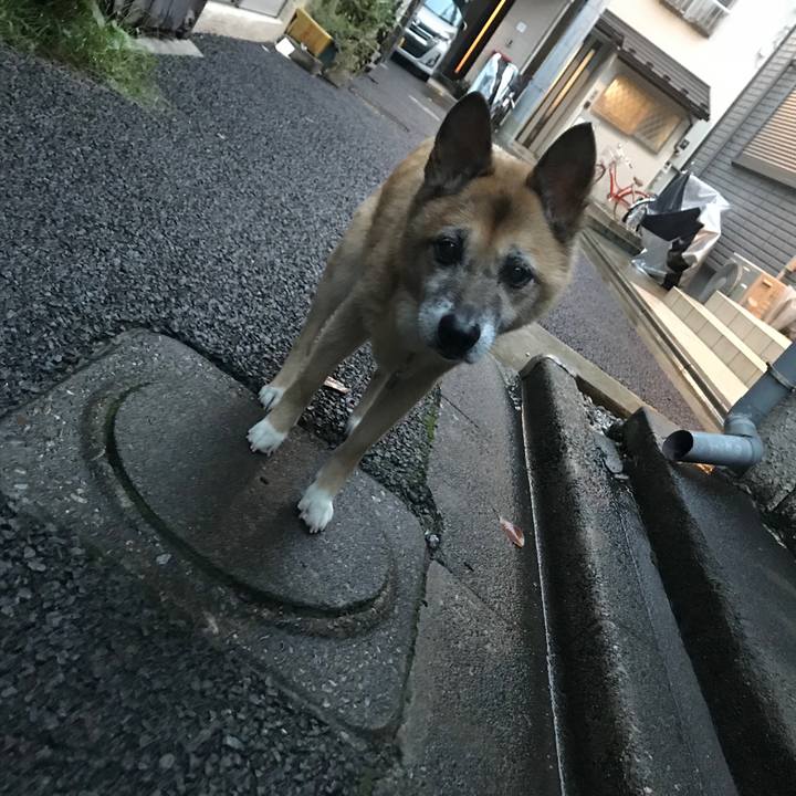 9872a8b8 a68d 45f1 b820 9fe55988c30a 1538219840908