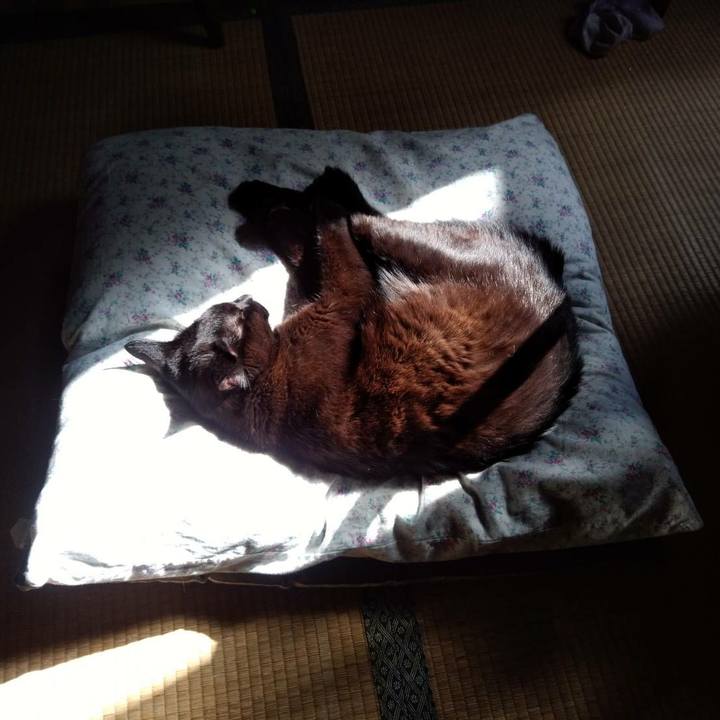 9872daef 2e8d 4f1f af65 c58f4bd9f8a3 1602289937533